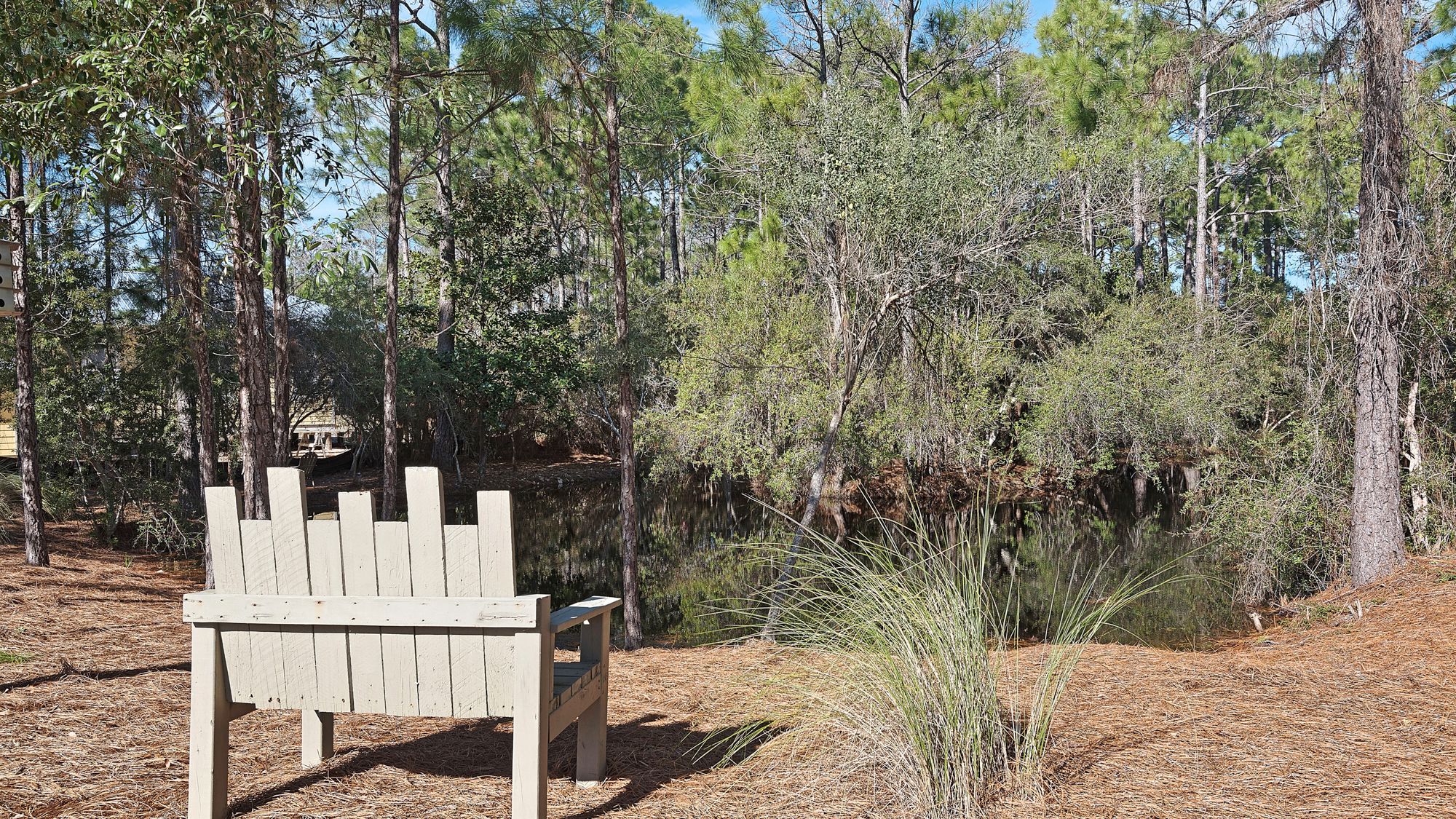 Cassine Station Grounds and Amenities