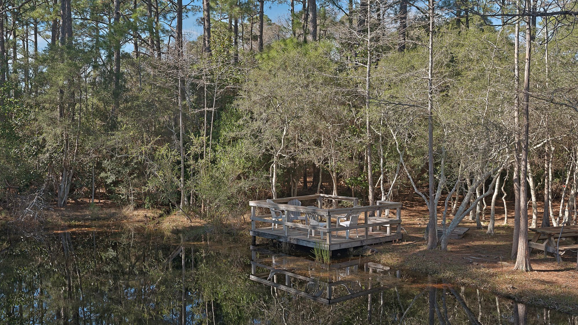 Cassine Station Grounds and Amenities