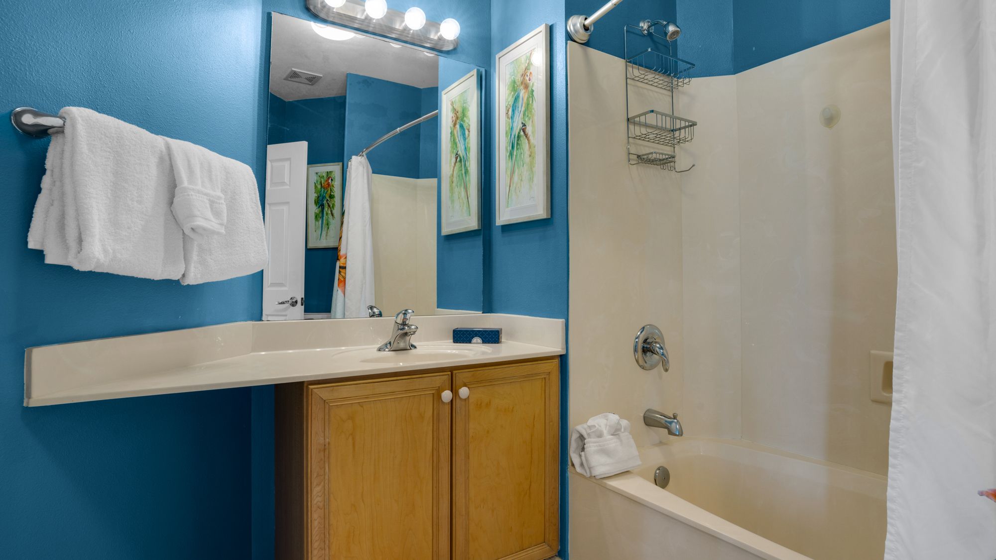 Dunes of Seagrove 202C Hallway Bathroom