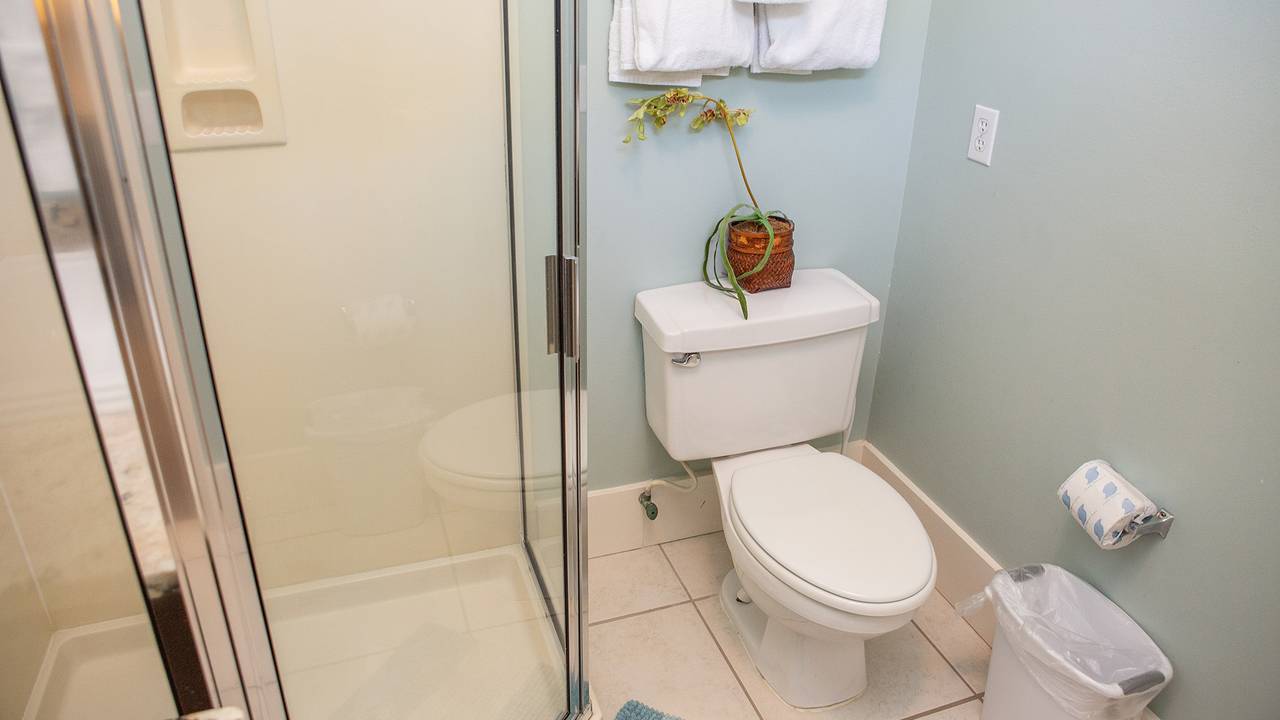 Dolphin House Dolphin House