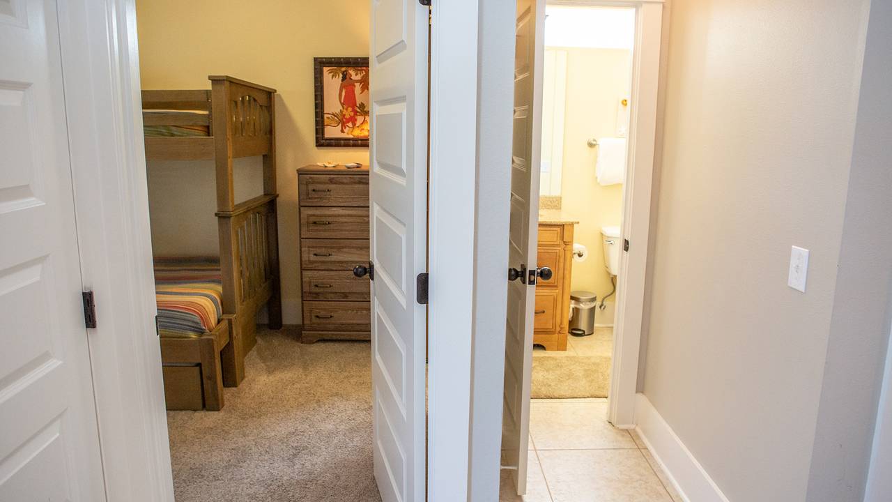 Dolphin House Dolphin House