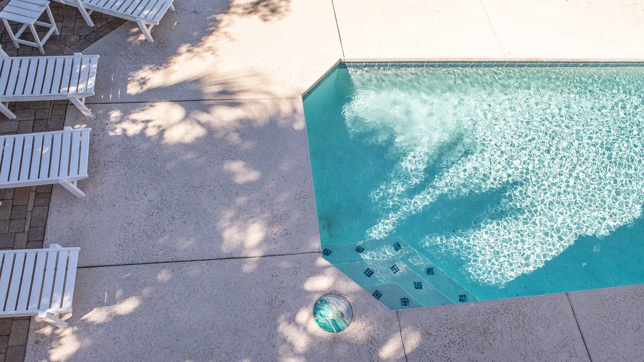 Dolphin House Dolphin House