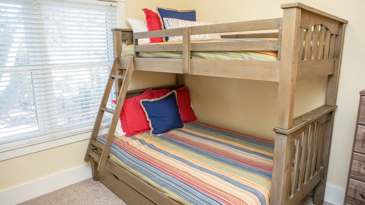 Dolphin House Dolphin House