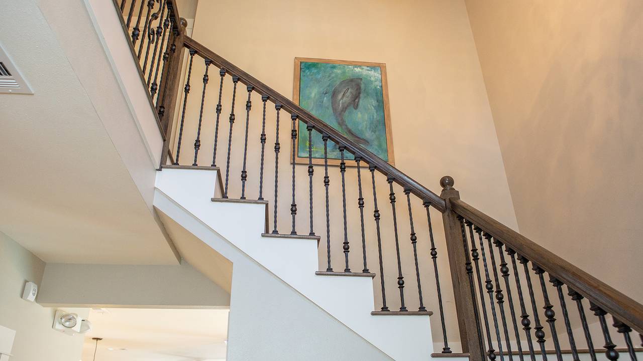 Dolphin House Dolphin House