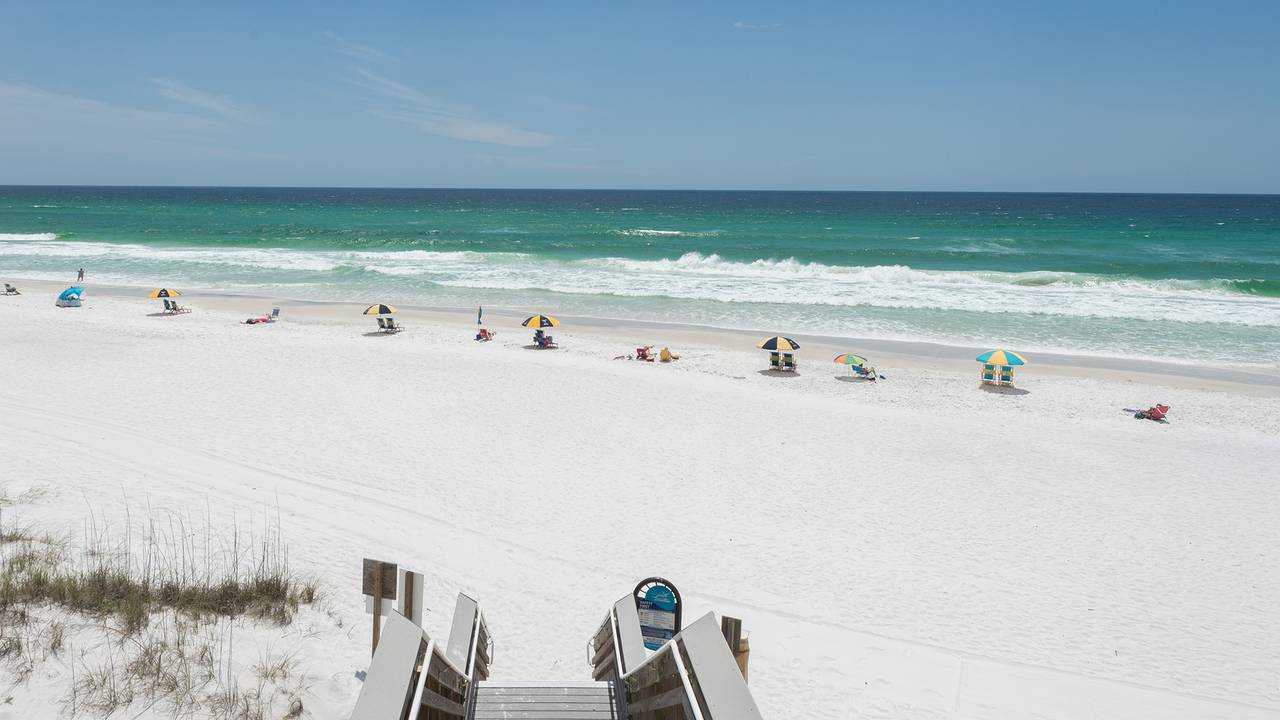 Dolphin House Dolphin House