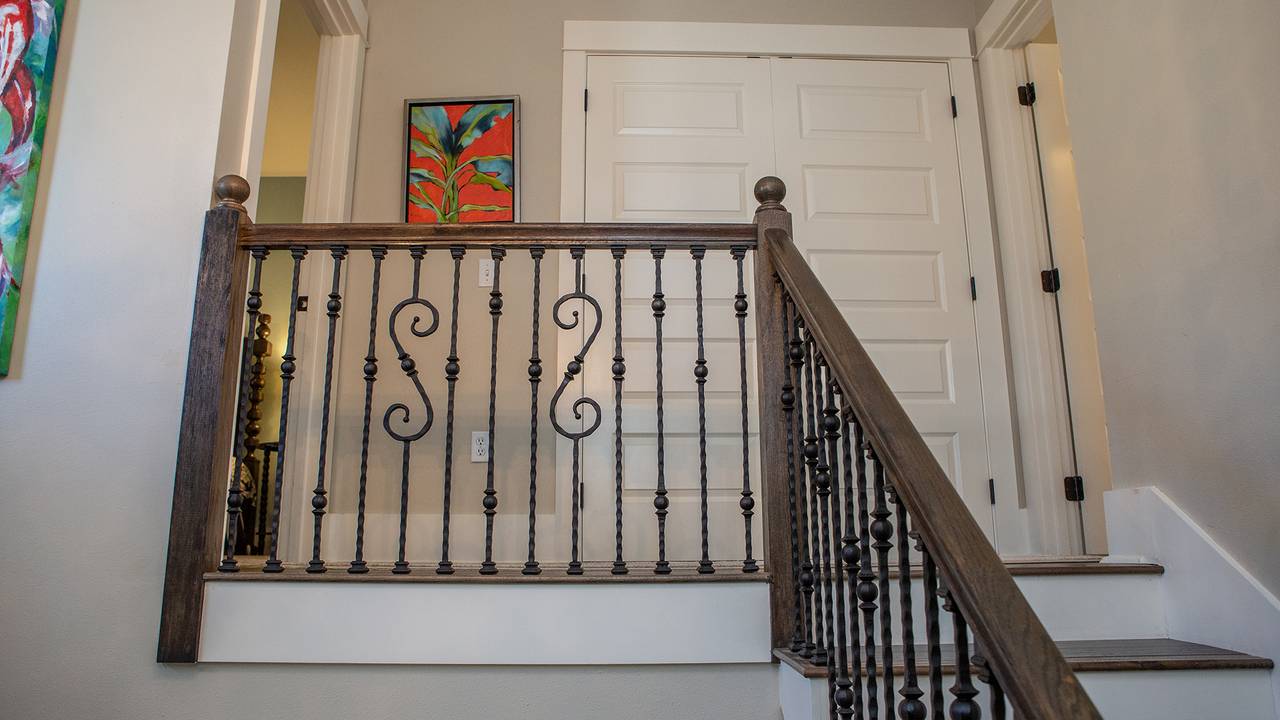 Dolphin House Dolphin House