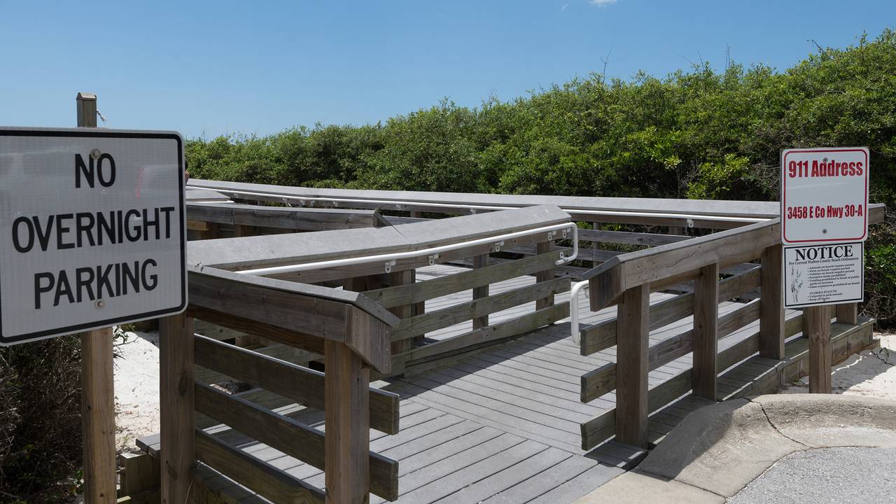 Dolphin House Dolphin House