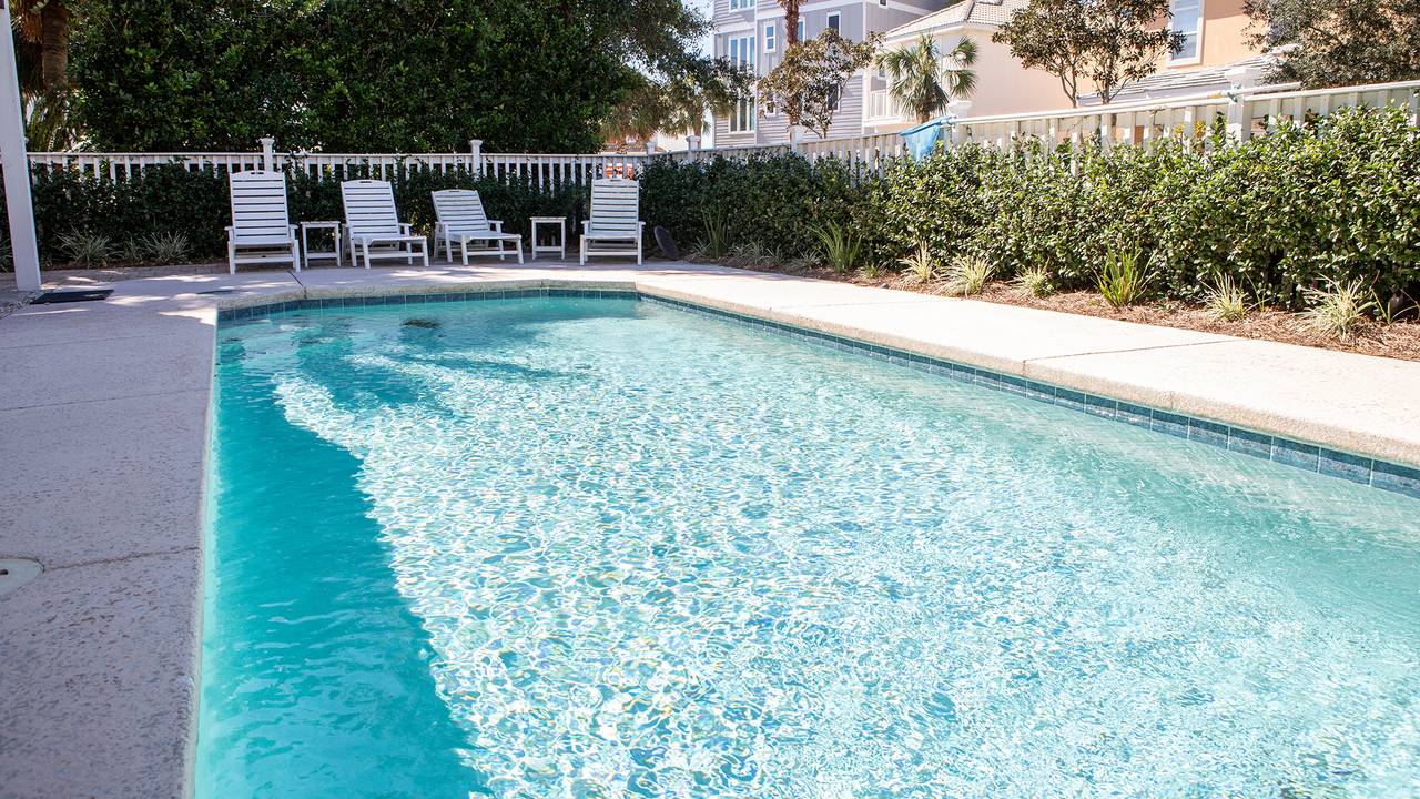 Dolphin House Dolphin House