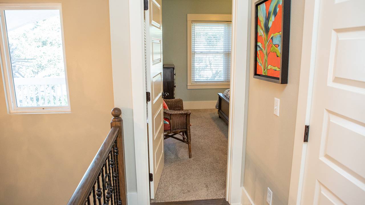 Dolphin House Dolphin House