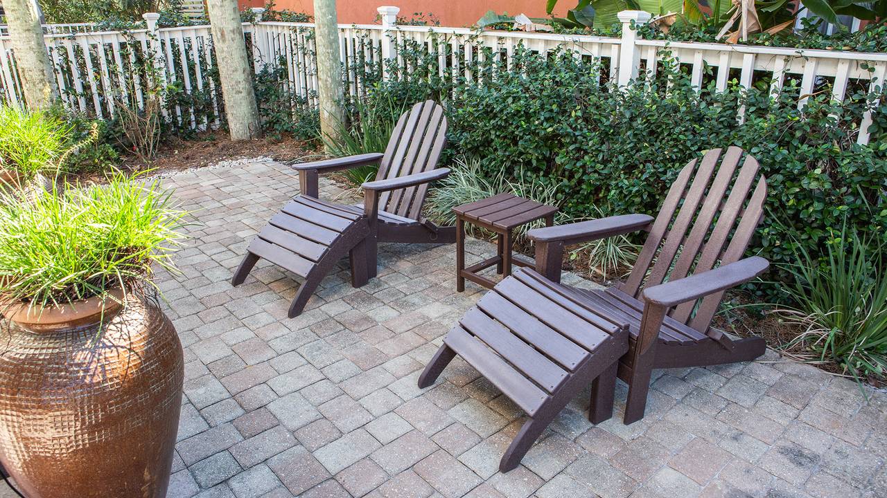 Dolphin House Dolphin House