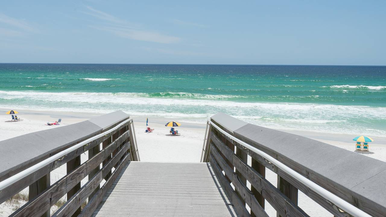 Dolphin House Dolphin House