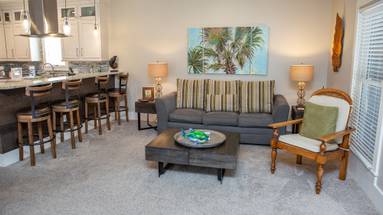 Dolphin House Dolphin House