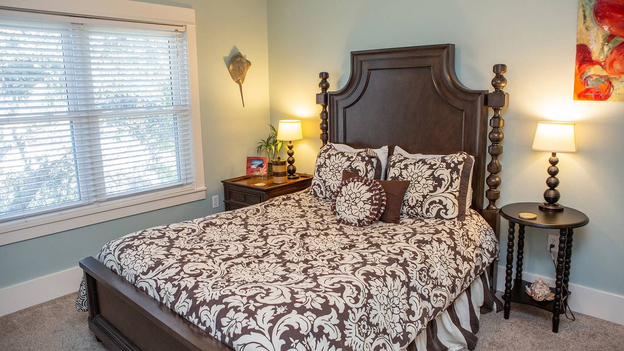 Dolphin House Dolphin House