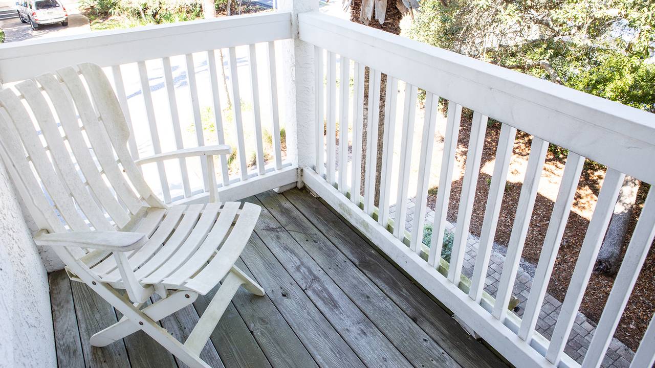 Dolphin House Dolphin House