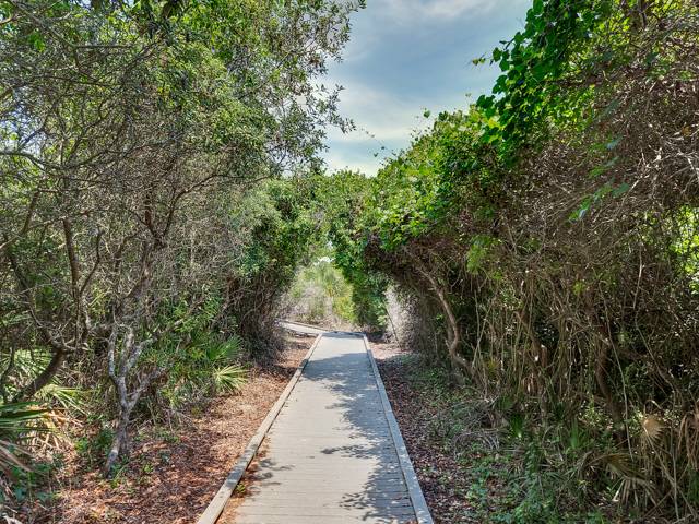 Beach Boardwalk Beach Boardwalk