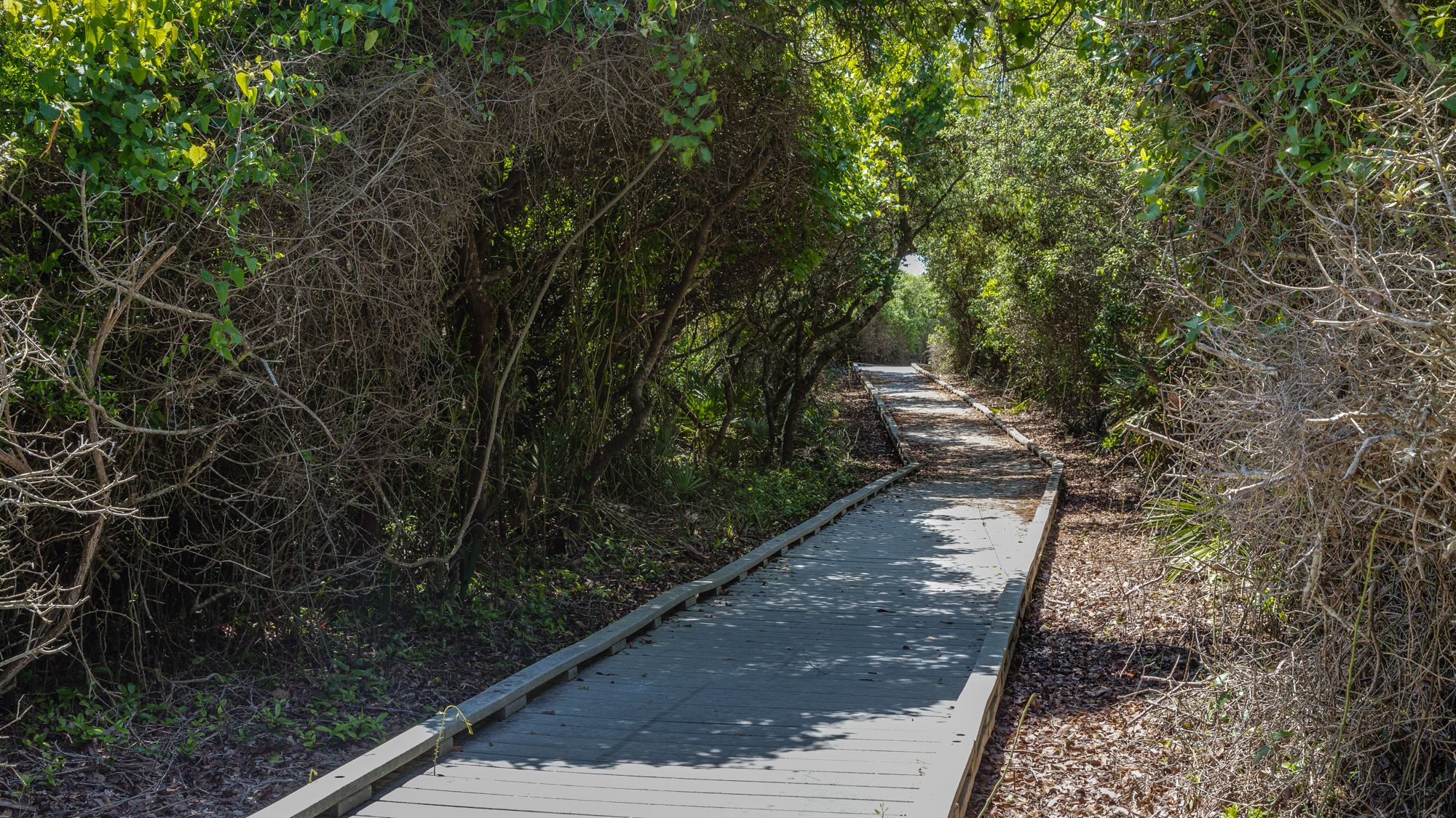 Hidden Beach Villas Grounds & Amenities