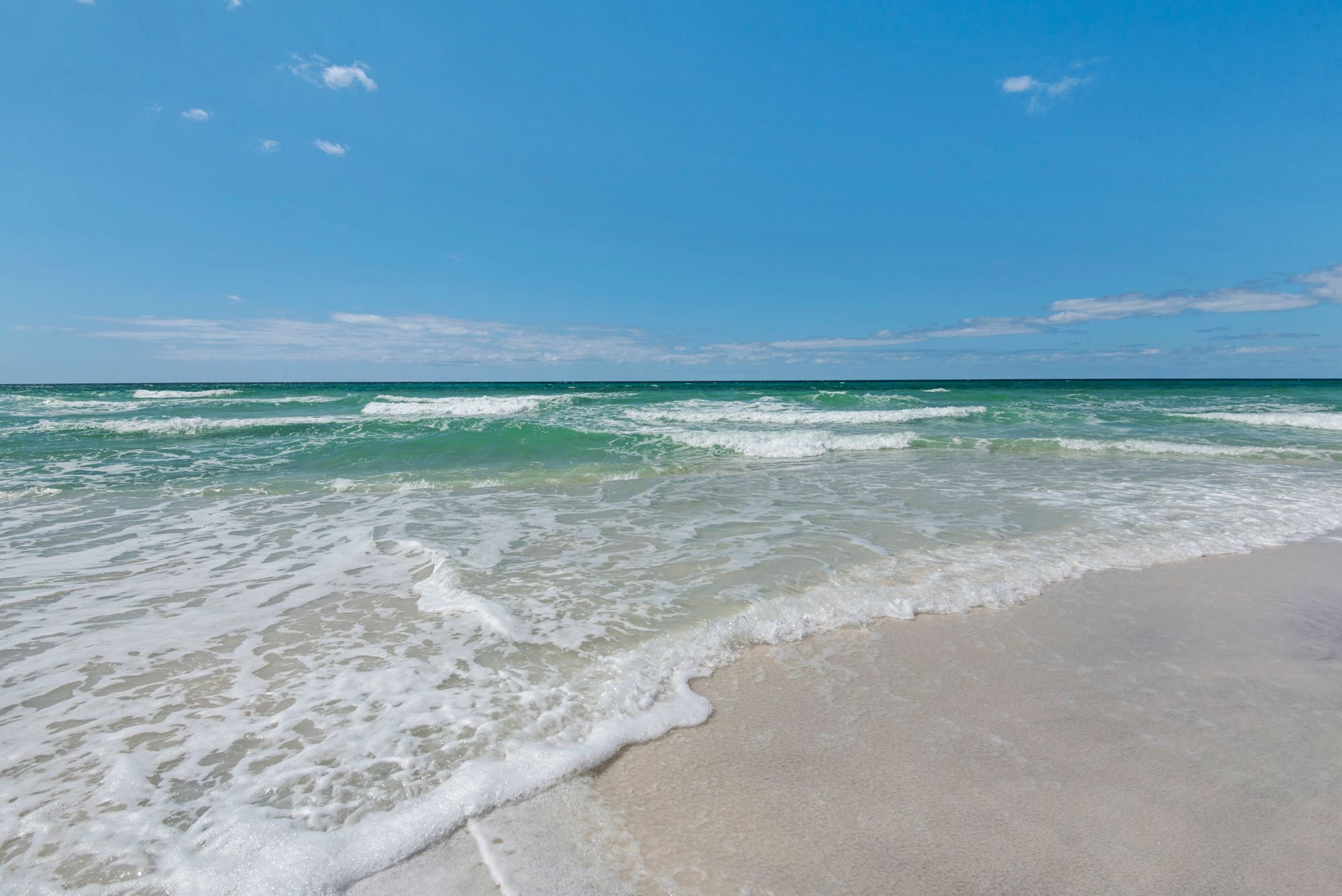 High Pointe Grounds and Amenities