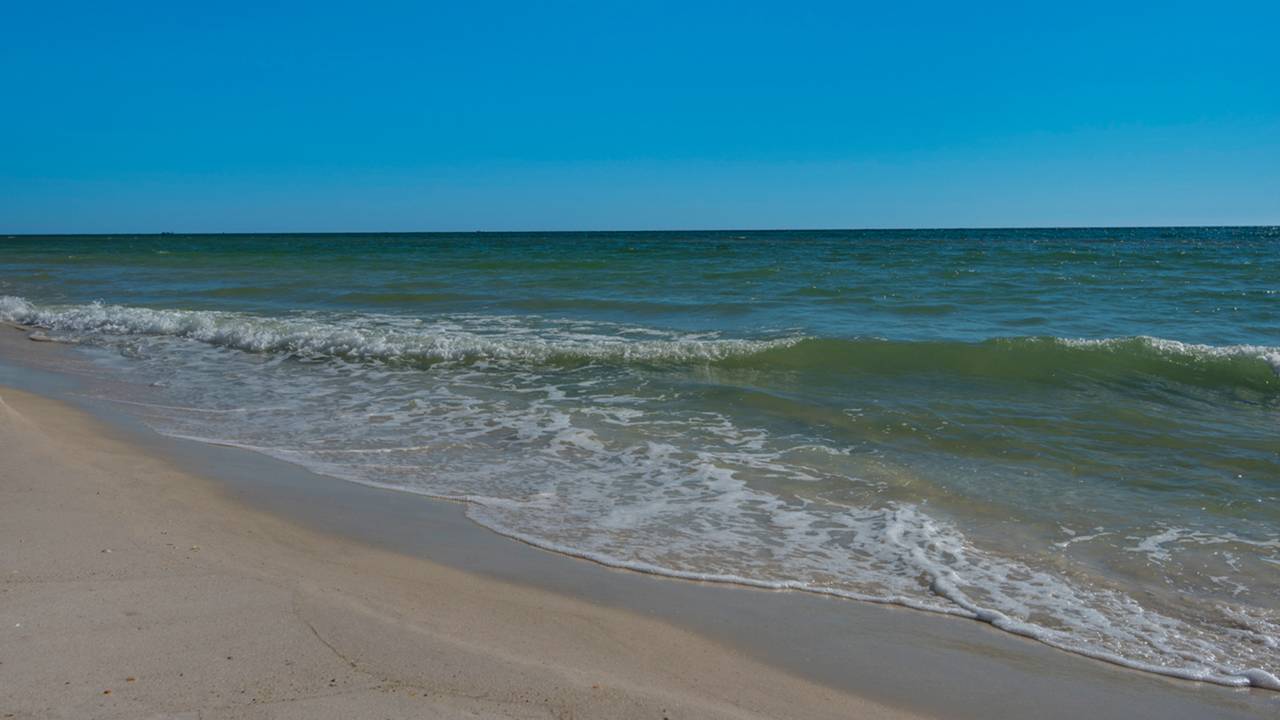 Inn at SeaCrest 405 Inn at SeaCrest 405