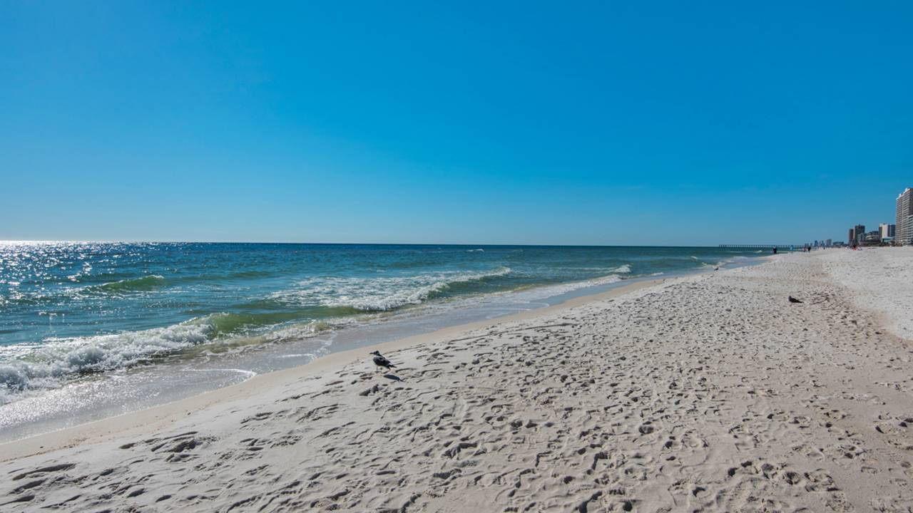 Inn at SeaCrest 405 Inn at SeaCrest 405