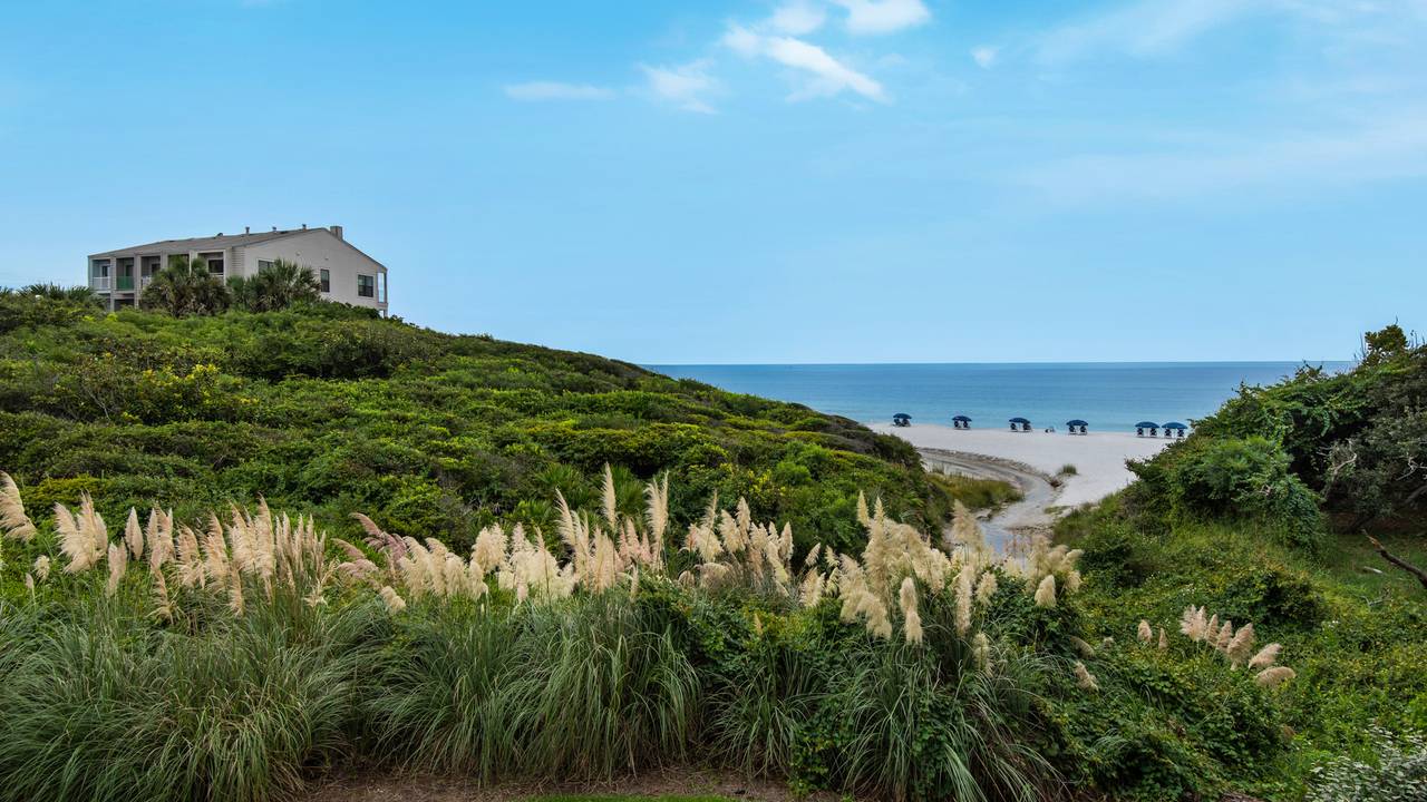 Legacy 101 Patio Legacy 101 Patio