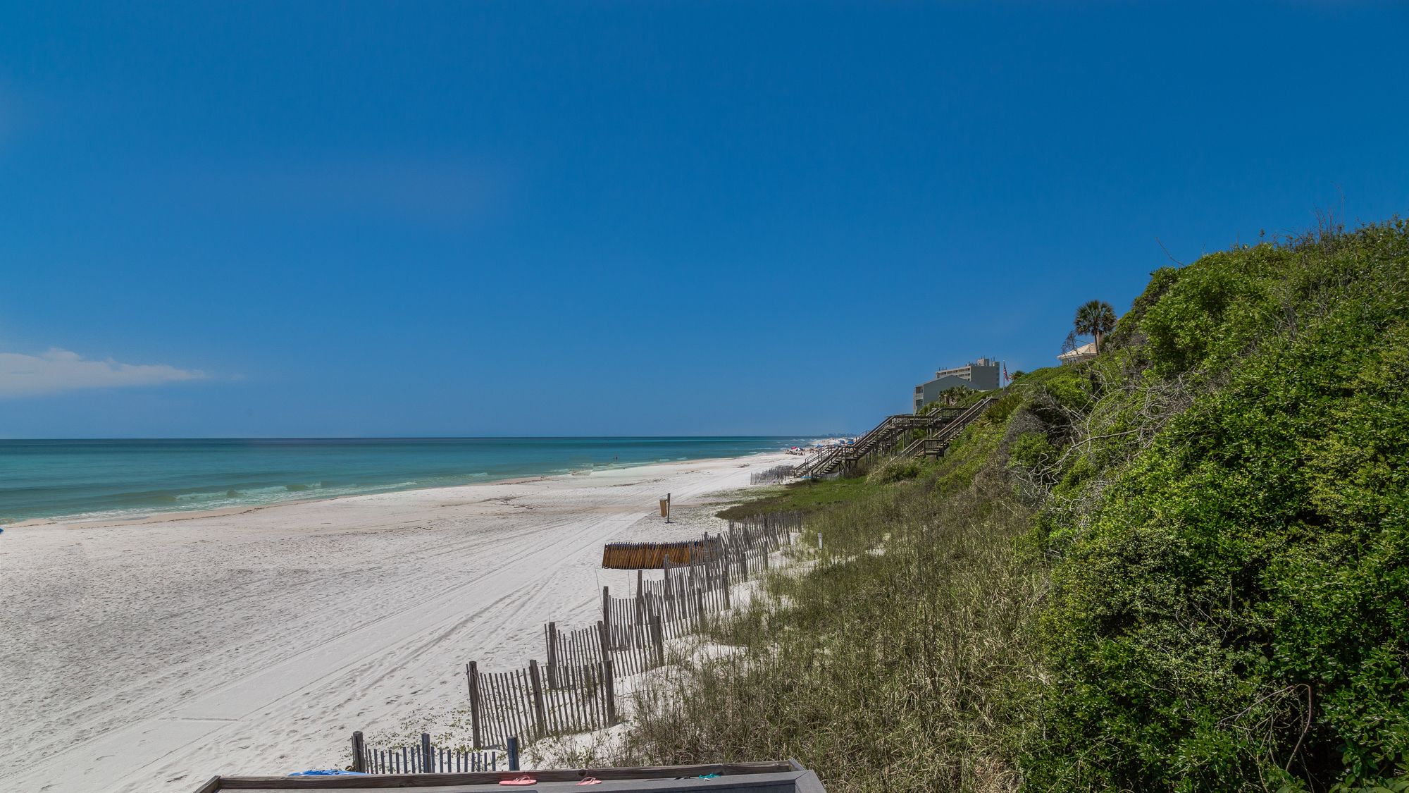 One Seagrove Place Grounds and Amenities