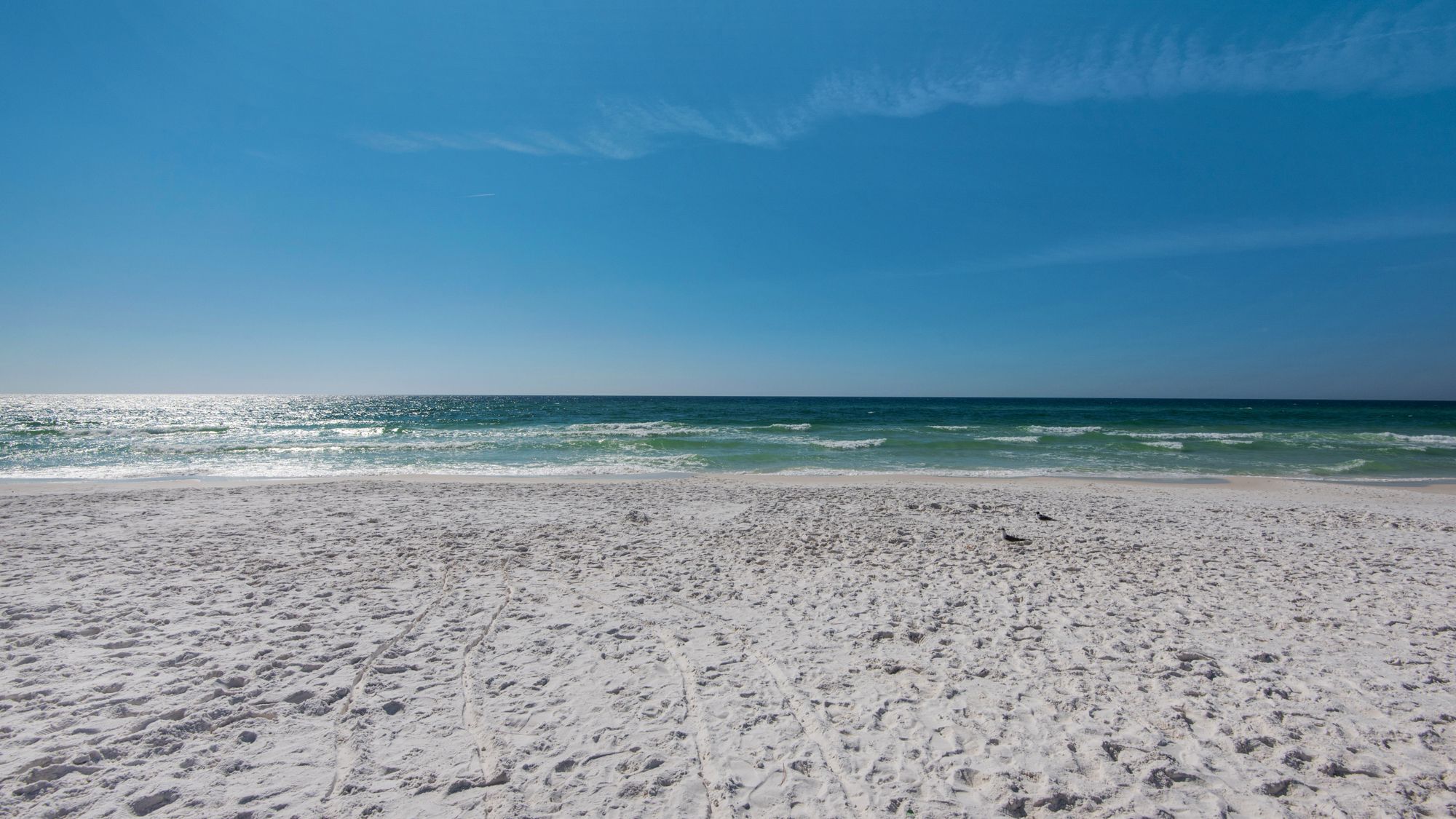 vOne Seagrove Place Grounds and Amenities