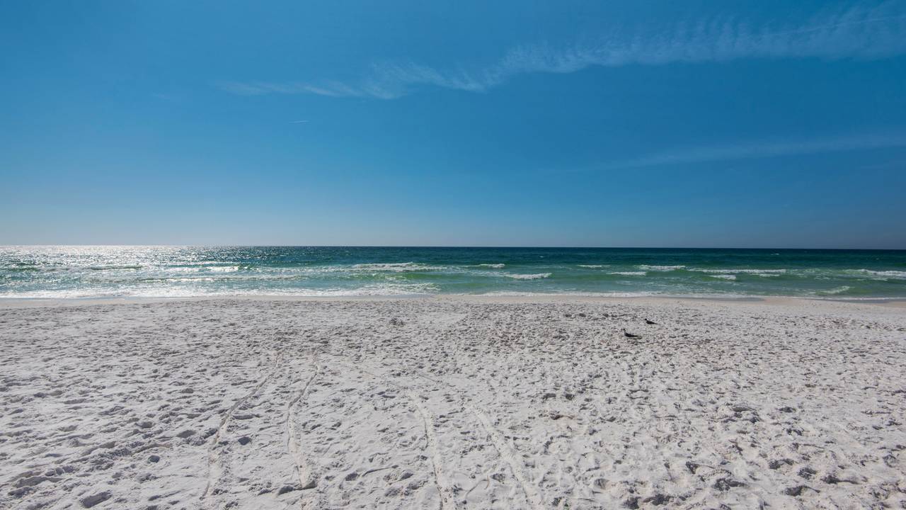 vOne Seagrove Place Grounds and Amenities vOne Seagrove Place Grounds and Amenities