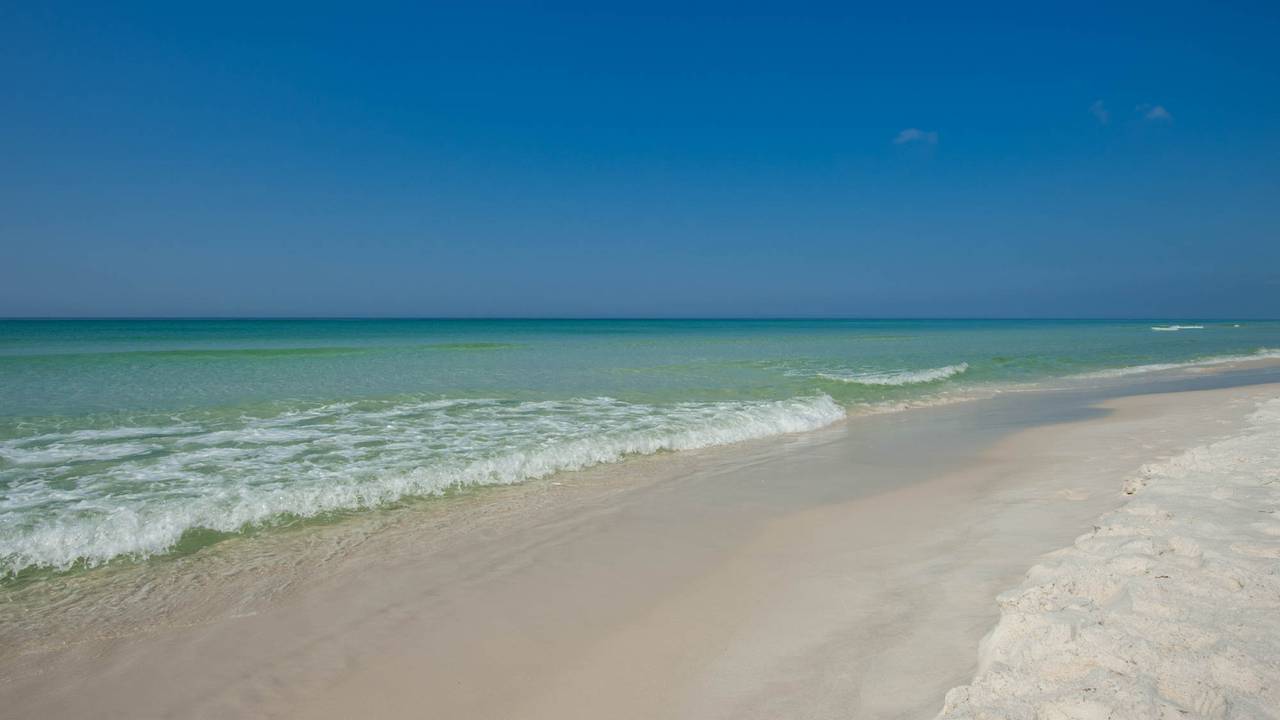 Palms of Seagrove Palms of Seagrove