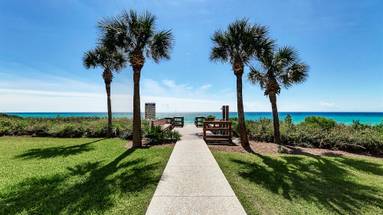 Palms of Seagrove Palms of Seagrove