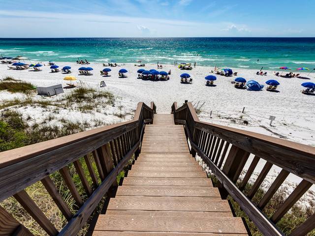 Palms at Seagrove Boardwalk