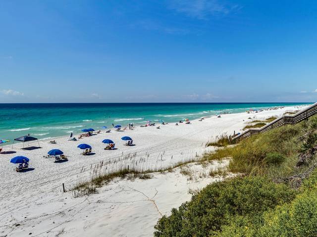 Palms at Seagrove Beach Area