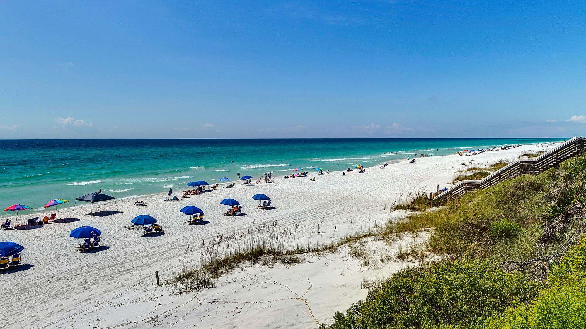 Palms at Seagrove Grounds and Amenities