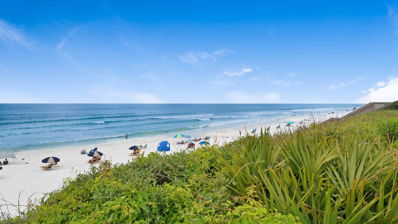 Palms Beach View Palms Beach View