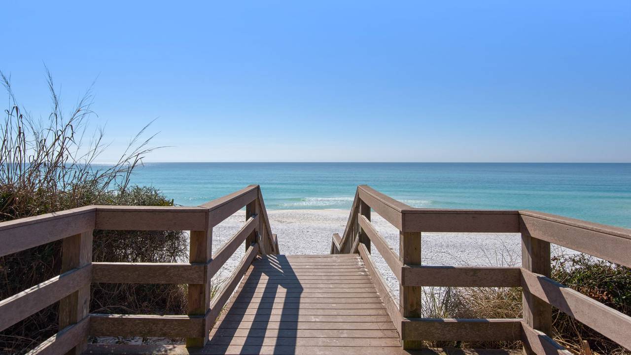 Palms Boardwalk Palms Boardwalk