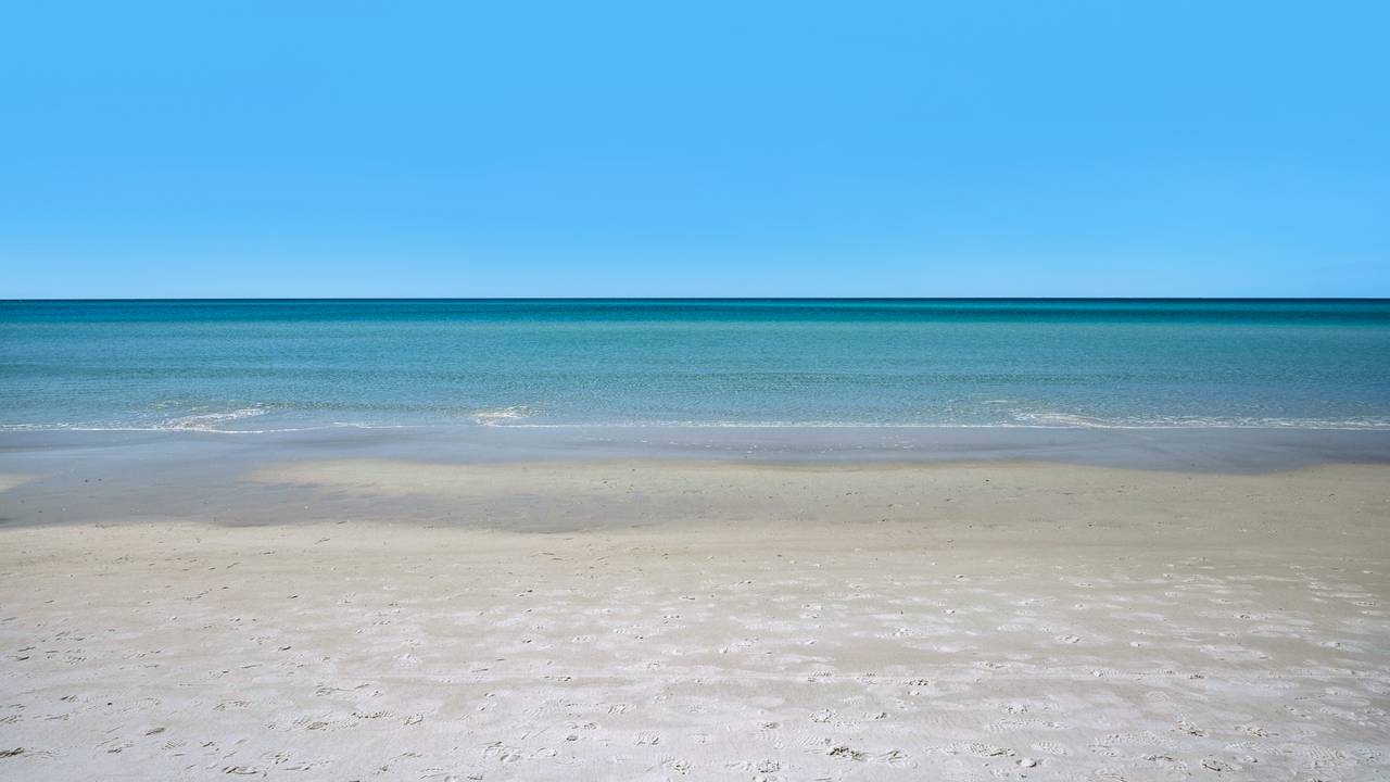 Palms C7 Beach Palms C7 Beach