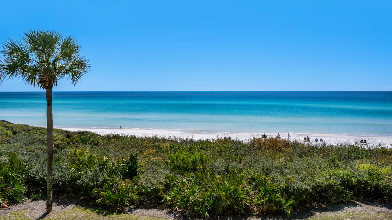 Palms C7 View Palms C7 View