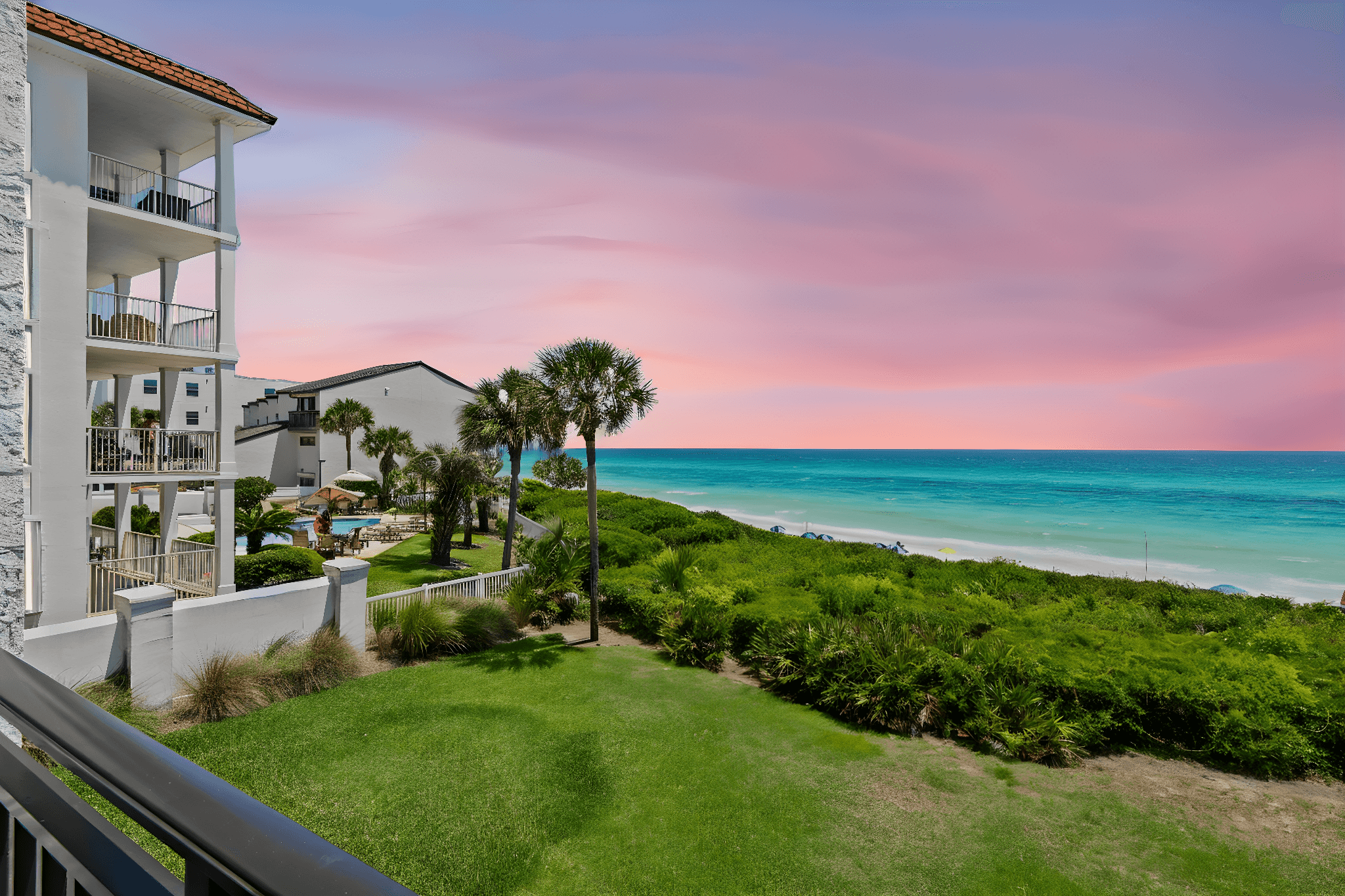 Palms C8