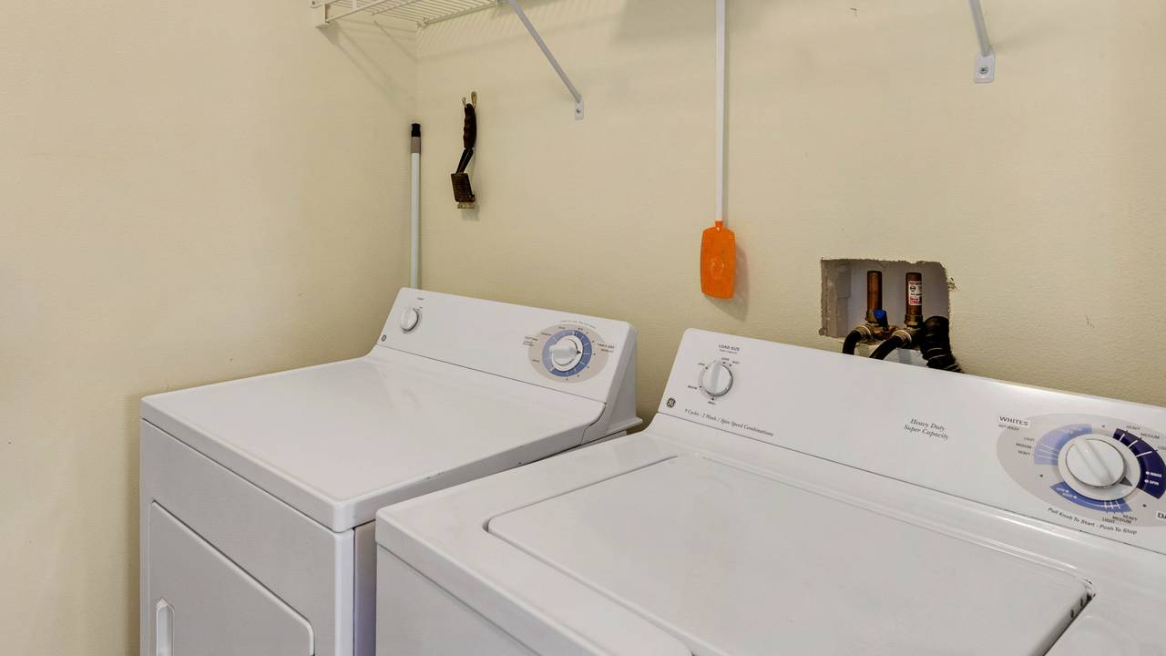 Pink Flamingo Pink Flamingo