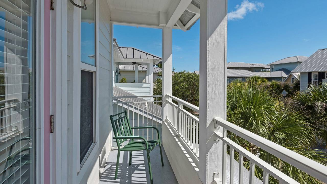 Pink Flamingo Pink Flamingo