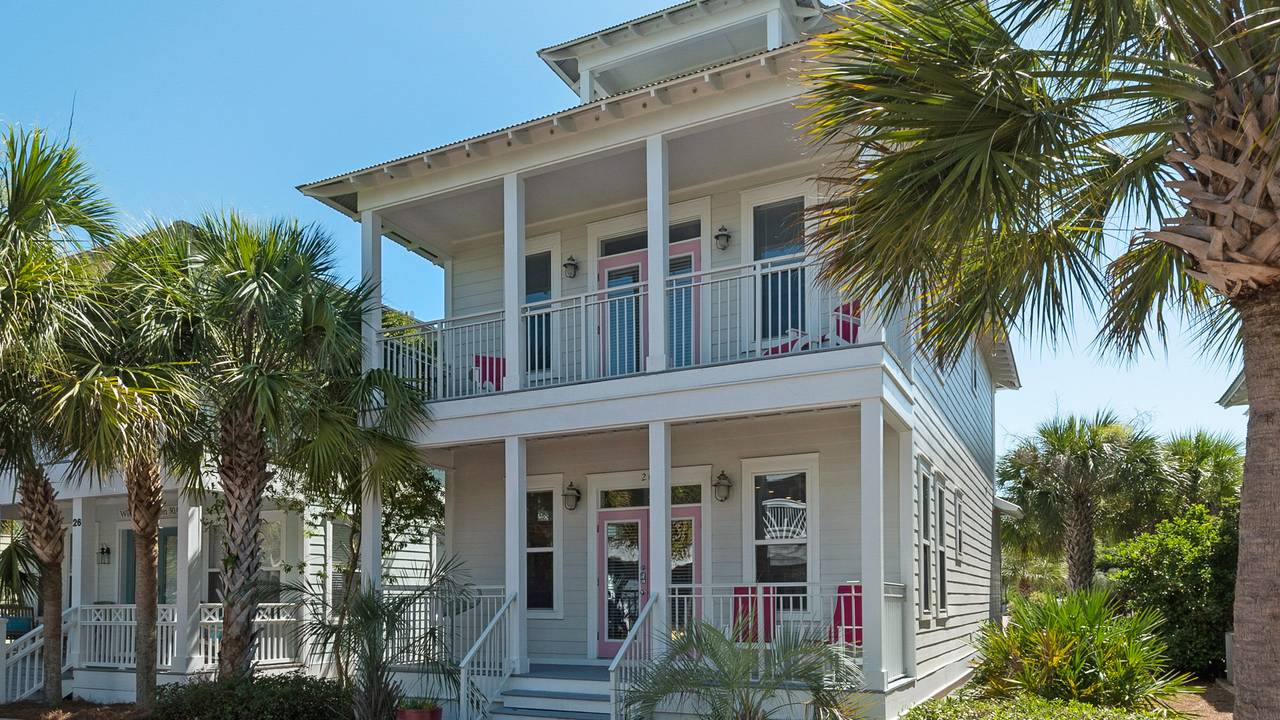 Pink Flamingo Pink Flamingo