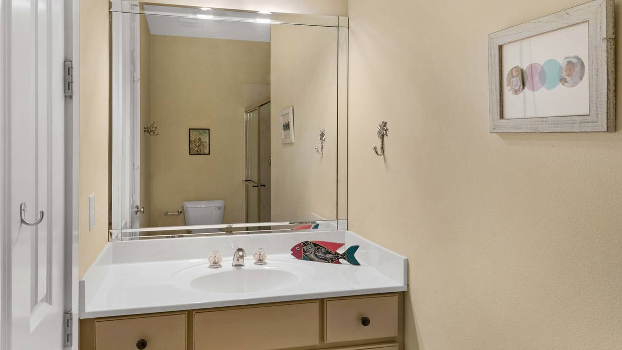 Pink Flamingo Pink Flamingo