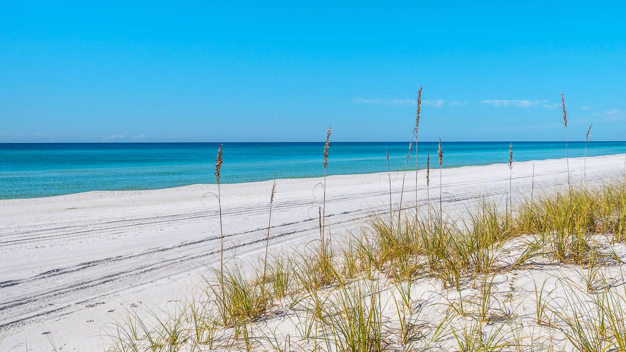 San Remo Grounds and Amenities San Remo Grounds and Amenities