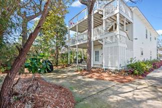 Sugar Paws Sugar Paws