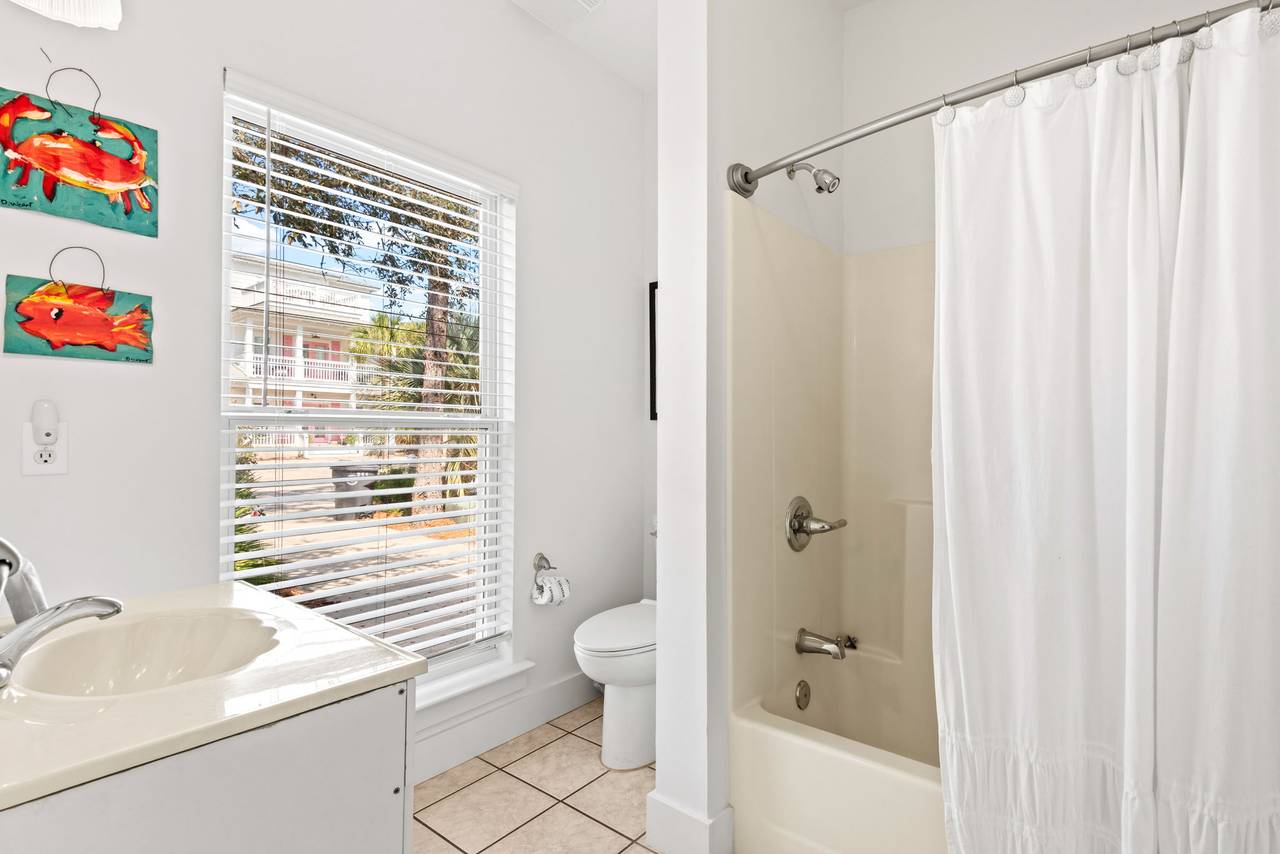 Sugar Paws Sugar Paws