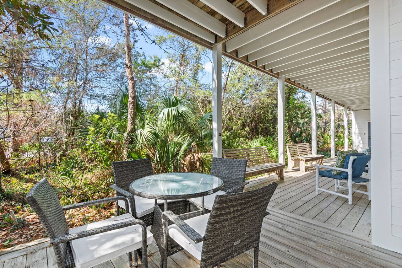 Sugar Paws Sugar Paws