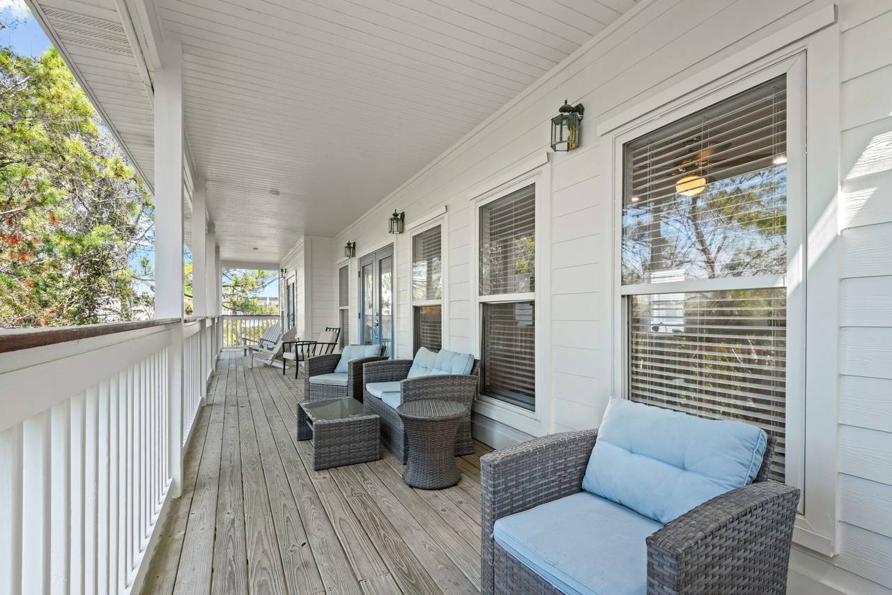 Sugar Paws Sugar Paws