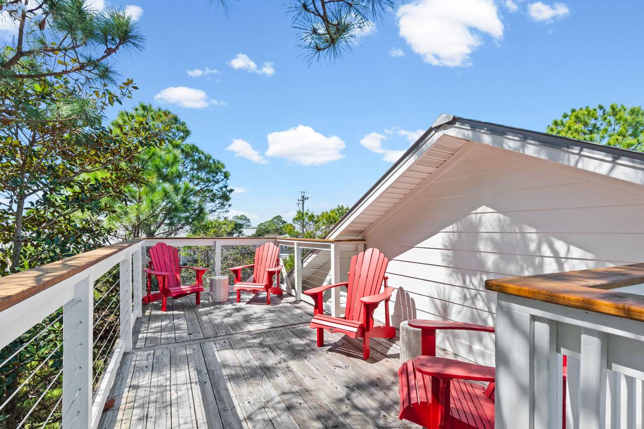 Sugar Paws Sugar Paws