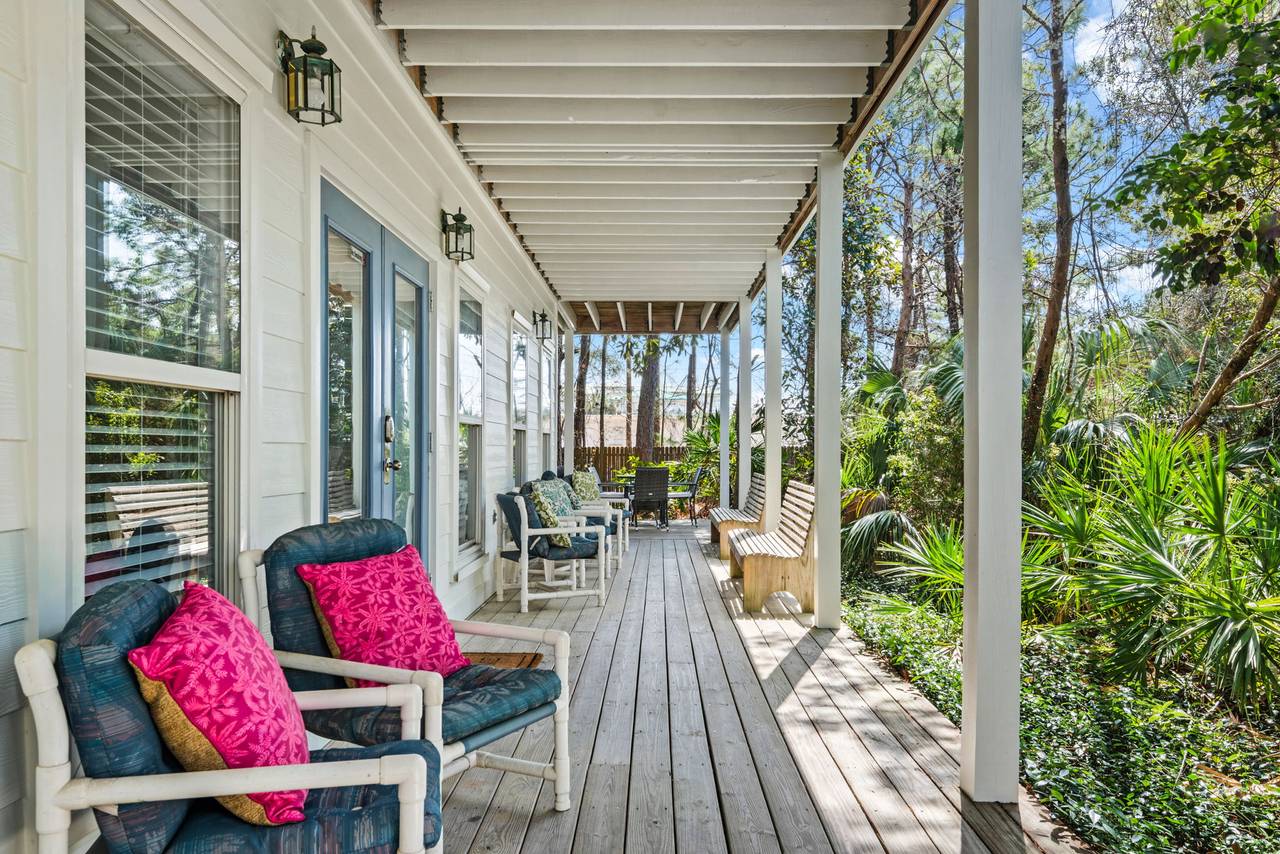 Sugar Paws Sugar Paws