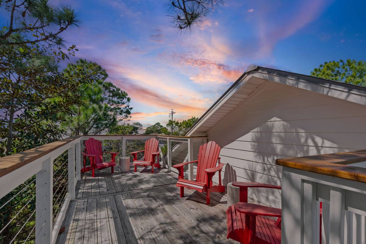 Sugar Paws Sugar Paws