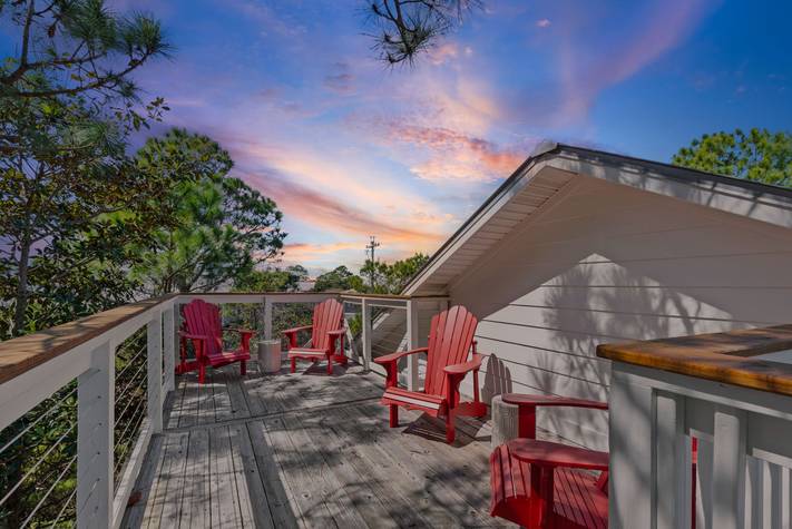 Sugar Paws Sugar Paws